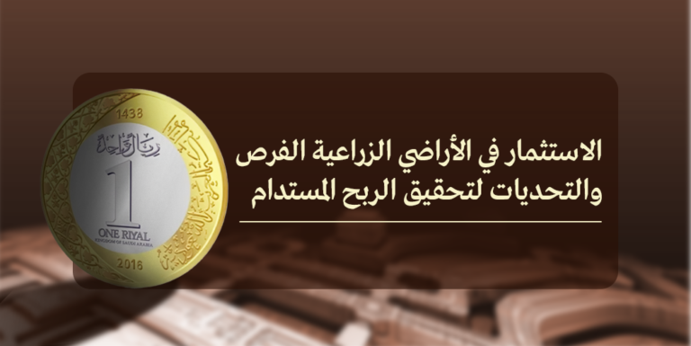الاستثمار في الأراضي الزراعية الفرص والتحديات لتحقيق الربح المستدام
